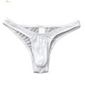 Ethereon Underpants Elastic Lightweight Men Thongs. 