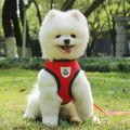 2023 Breathable Dog Accessories Mesh Nylon Durable Walking Dog Rope Pet Chest Strap Dog Traction Rope Dog Harness And Leash. 
