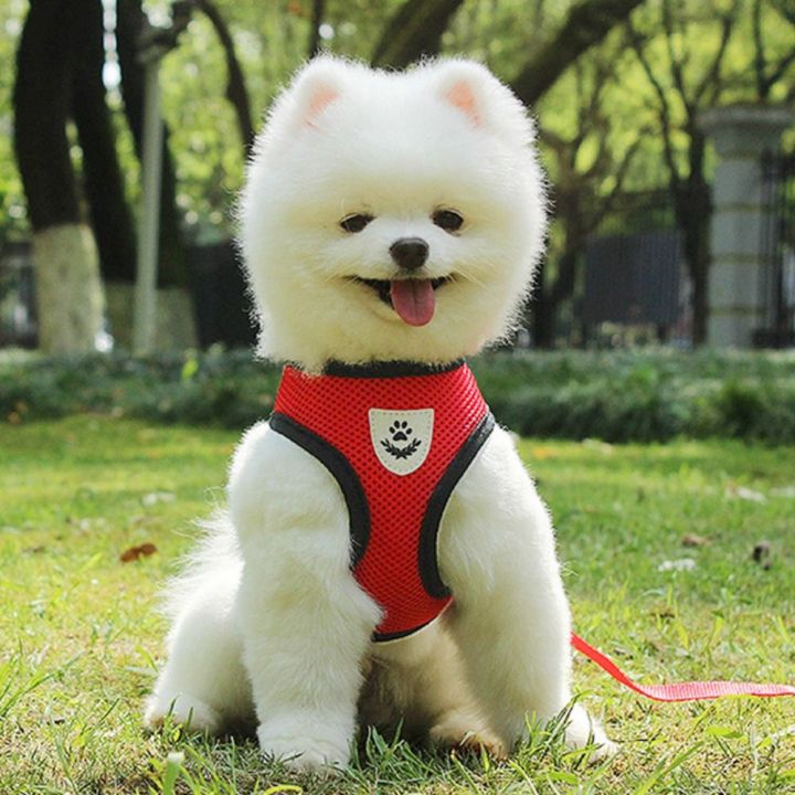 2023%20Breathable%20Dog%20Accessories%20Mesh%20Nylon%20Durable%20Walking%20Dog%20Rope%20Pet%20Chest%20Strap%20Dog%20Traction%20Rope%20Dog%20Harness%20And%20Leash%20-%20Image%205