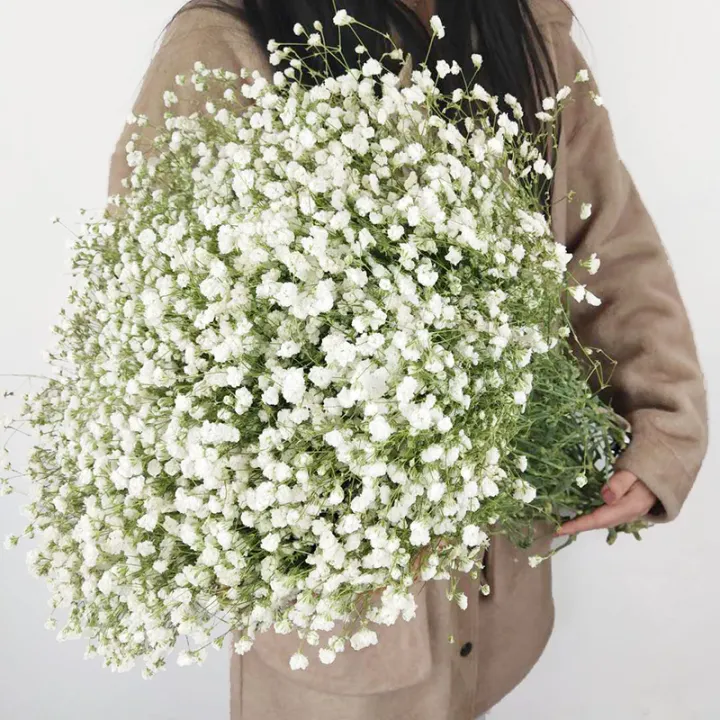 %E3%80%90Hot%20selling%20items%20%E3%80%911/5Pcs%20Baby's%20Breath%20Gypsophila%20Artificial%20Flowers%20/%20Real%20Touch%20Decorative%20Artificial%20Flower%20Holding%20Bouquet%20Bride%20Bouquet%20-%20Image%203