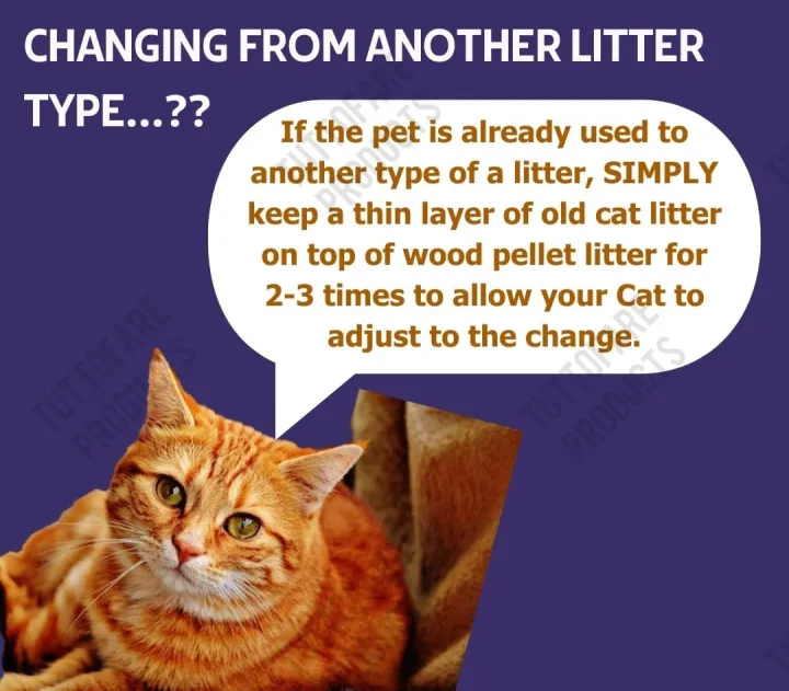 Kitto%20Kitty%20Biodegradable%20Wood%20Pellet%20Cat%20Litter%20-%205L/%20Natural%20-%20Image%205