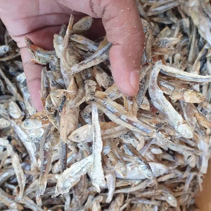 Lanka%20Dried%20Sprats%20%20(%20%E0%B6%BD%E0%B6%82%E0%B6%9A%E0%B7%8F%20%E0%B7%84%E0%B7%8F%E0%B6%BD%E0%B7%8A%E0%B6%B8%E0%B7%90%E0%B7%83%E0%B7%8A%E0%B7%83%E0%B6%B1%E0%B7%8A%20)250%20g%20-%20Image%202