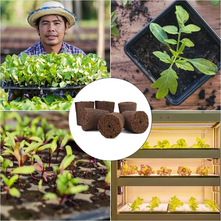 Plant%20Grow%20Sponges%20for%20Garden%20Hydroponic%20Indoor%20Garden%20Smart%20Sponge%20with%20Nutrients,%20Replacement%20Grow%20Pod%20-%20Image%206