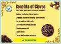 3V PRODUCTS Cloves - Pack of 2x25g - Lavang | Laung | Lavangam | Krambu (Whole)(FROM IND)JEZ. 