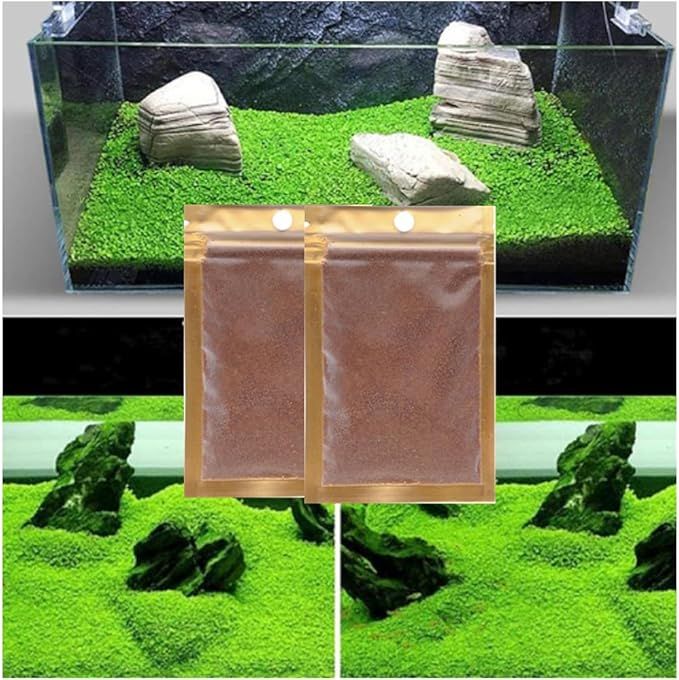 10%20Grams%20of%20Aquarium%20Plant%20Seeds%20Soil%20Water%20Aquatic%20Plant%20Love%20Grass%20Substrate%20Soil%20Decor%20Fish%20Tank%20grass%20seeds%20%20Aquarium%20Plants%20Aqua%20Soil%20Aquatic%20Plant%20Seeds%20Water%20Grass%20Seeds%20for%20Aquarium%20Landscaping%20Decoration%20-%20Image%203