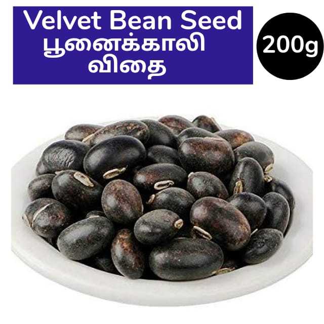 Poonaikali | Velvet Bean Seed | பூனைக்காலி விதை - 200g | Daraz.lk