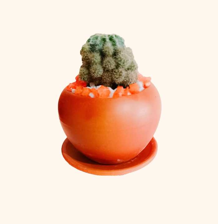 Handmade%20Clay%20Saucers%20-%20Image%206