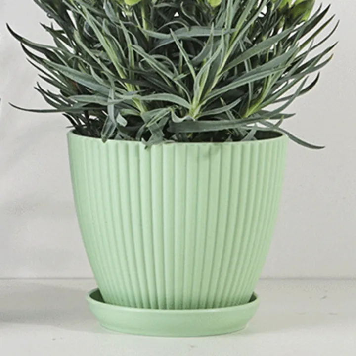 Plastic%20Planter%20Pots%20for%20Plants,%205%20Pack%206%20Inch%20Flower%20Pots%20with%20Drainage%20Holes%20and%20Saucers,%20for%20Indoor%20Outdoor%20D%20-%20Image%208