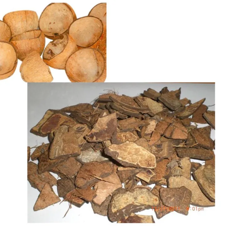 COCONUT%20SHELL%20CHIPS1%20kg,1%20Kg%20Raw%20type%20Natural%20Coconut%20shell%20chips%20for%20activated%20charcoal,%20cooking%20and%20orchids%20-%20Image%203