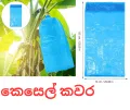 Banana protection plastic bag (50 BAGS) bunch cover 20 micron blue. 