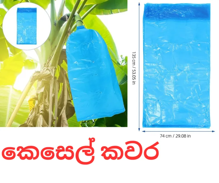 Banana protection plastic bag (50 BAGS) bunch cover 20 micron blue