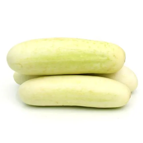 Cucumber%20Kalpitiya%20White%20Seeds%20Beeja%20Gardening%20Agriculture%20Home%20-%20Image%202
