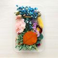 Mix Beautiful Real Dried Flowers Natural Floral For Art Craft Scrapbooking Resin Jewelry Craft Making Epoxy Mold. 
