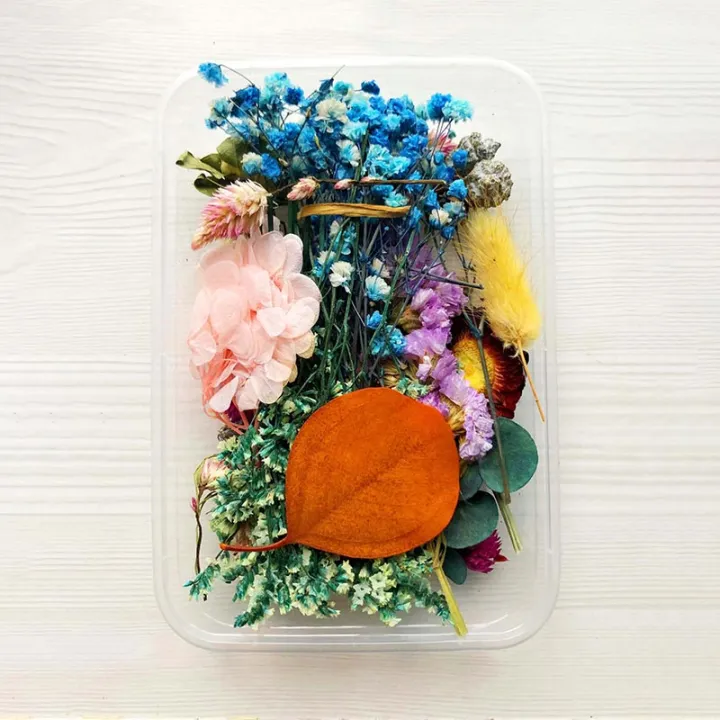 Mix%20Beautiful%20Real%20Dried%20Flowers%20Natural%20Floral%20For%20Art%20Craft%20Scrapbooking%20Resin%20Jewelry%20Craft%20Making%20Epoxy%20Mold%20-%20Image%203