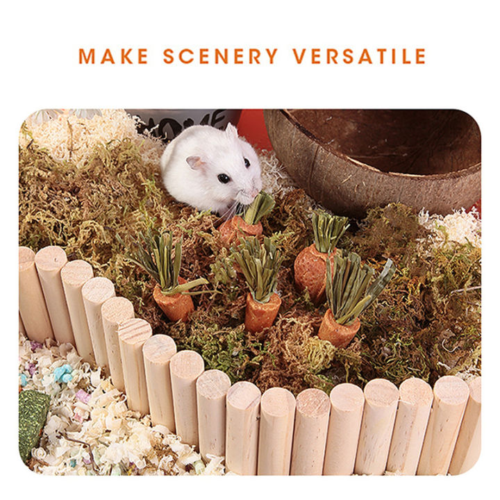 Small%20Pet%20Molar%20Supplies%20Hamster%20Treats%20Rabbit%20Chew%20Toys%20Small%20Animal%20Chew%20Carrots%20All%20Natural%20Nutritious%20Molar%20Toys%20For%20Rabbit/Hamster/Guinea%20Pigs%20XINYAN%20-%20Image%203