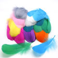 50Pcs/lot Natural Feathers 8-13cm Small Floating Goose Feather Colorful Feathers Plume For Decoration Plumes Craft. 