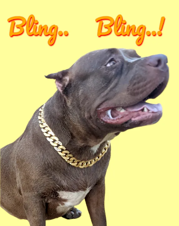 Extra%20Large%20Cuban%20Gold%20Jewellery%20Dog%20Collar%20Thick%2022mm%20Luxury%20Necklace%20Chain%20Gold-Plated%20Collars%20Safety%20Medium%20Dogs%20Belt%20Puppies%20Hip%20Hop%20Style%20Collection%20Dog%20Belt%20Decorative%20Jewelry%20Rustless%20Chains%20Supplies%20Pets%20Dog%20Chain%20-%20Image%202