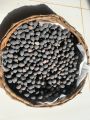 20 Blue Lotus Seeds, Rare Nymphaea Nouchali, Water Lilly Flower Seeds, With Planting Instructions. 