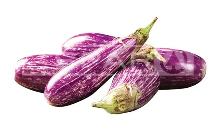Lena%20Iri%20Batu%20/Brinjal%20Seeds%20For%20Home%20Garden%20-%20Image%205