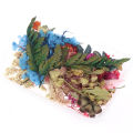Real Dried Flowers Plants Pressed For Resin Jewellery Making Craft DIY Accessory. 