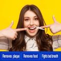 Dental Floss Picks 10 Pack Tooth Teeth Brush Toothbrush Thread Toothpick Listerine Gentle Gum Mouth Care Woven Floss Pick Pluck Food Plaque Stains Brush Teeth Tooth Oral Mouth Oral Care Tooth Flossing Reusable Toothpicks Floss Teeth Cleaner Oral Cleaning. 