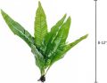 Java Fern/Large size/Aquarium live plants/Aqua scaping/Live plants. 