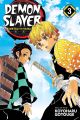 Demon Slayer: Kimetsu no Yaiba, Vol. 3. 