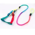 Cat and Dog Harness and Leash Set Vest Leash Collar Set Adjustable Rainbow. 