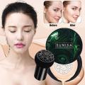 Sunisa Water Beauty Air Cushion CC Cream BB Cream Foundation. 