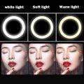 Desktop Ring Light for Selfie and Phone, 3 Colors Dimmable LED Light for Live Makeup Desktop Mobile Phone Tabletop Stand with Selfie Ring Light, 3 Light Modes, 3 Mobile Clips, 360° Rotating Clips,. 