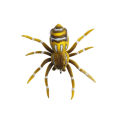 bellylady 7cm6g Floating Lure Bait Spider Soft Bait ulation Artificial Silicone  Bait. 
