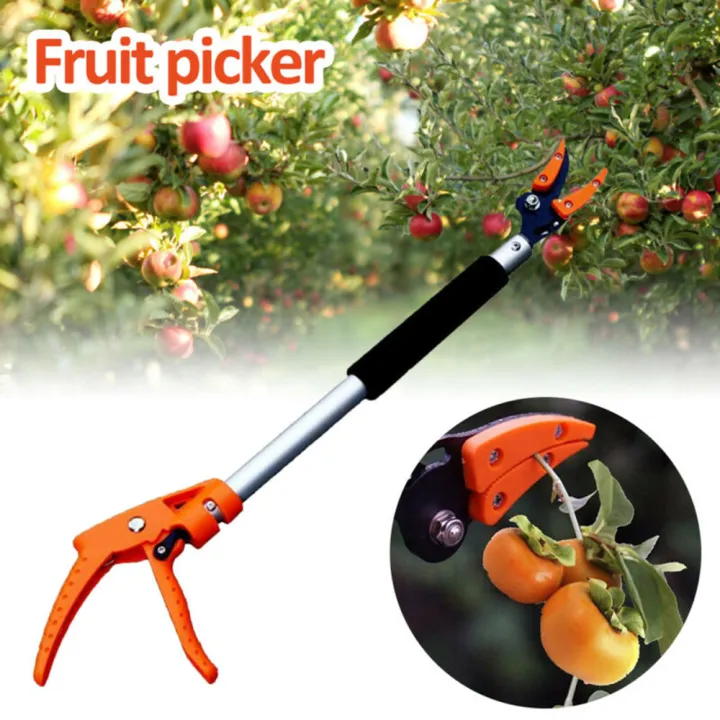 Garden%20Tree%20Pruning%20Shears%20Tree%20Trimmer%20Gardening%20Tool%20Fruit%20Picker%20Pruner%20Orchard%20Tool%20-%20Image%207
