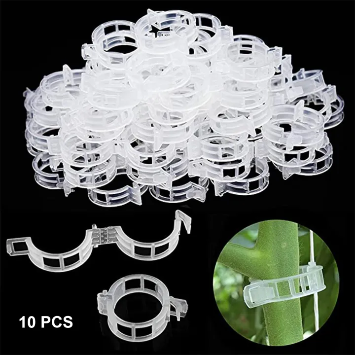 Garden%20Tomato%20Trellis%20Clips%20Perfect%20for%20Tomatoes,%20Cucumbers,%20Peppers,%20Melons,%20and%20other%20vine%20crops,%20flowers%20and%20plants%20Plant%20Support%20Clip%20-%20Image%202