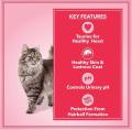 Let's Bite Active Adult Cat Food ( Buy two Get Two Free 400g X 4 ). 
