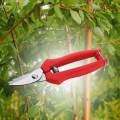 Gardening Hand Pruners Sharp Fruit Picking Scissors for Farm Thinning. 