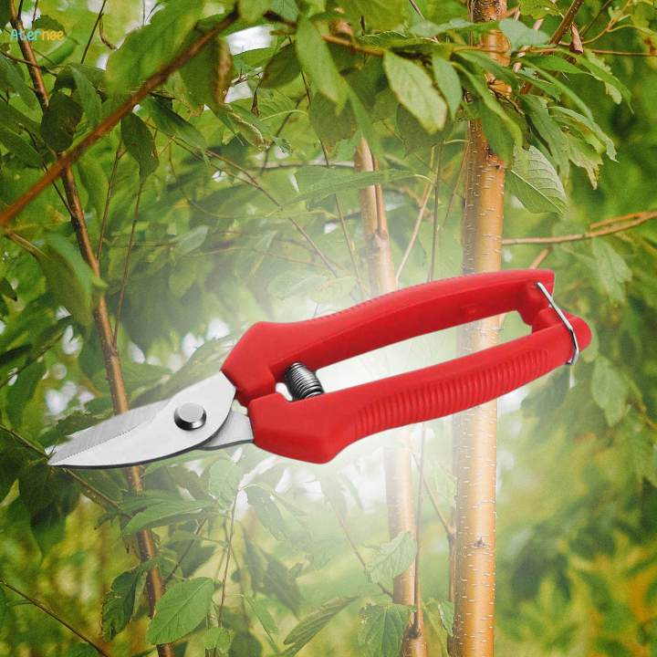 Gardening%20Hand%20Pruners%20Sharp%20Fruit%20Picking%20Scissors%20for%20Farm%20Thinning%20-%20Image%202