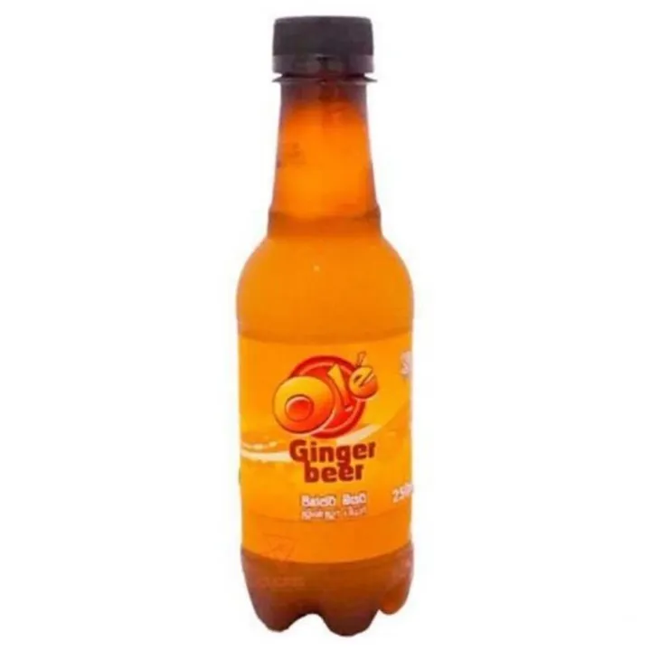 Ginger beer 250ml