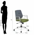 Nilkamal Prius Office Chair Mid Back. 