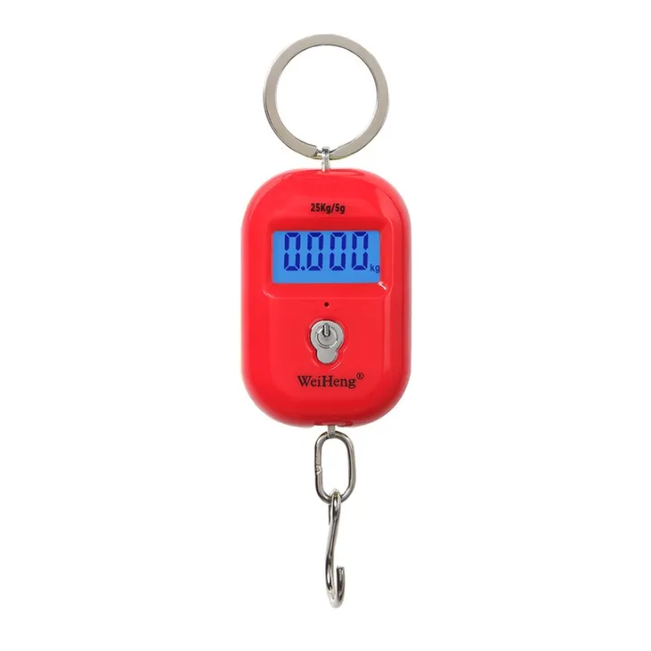 【InnovateWorld】25Kg X 5g Keychain Scale Mini LCD Portable Electronic ...