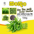 Thai Water Spinach Seeds Kang Kong Beeja කංකුං බීජ 100g. 