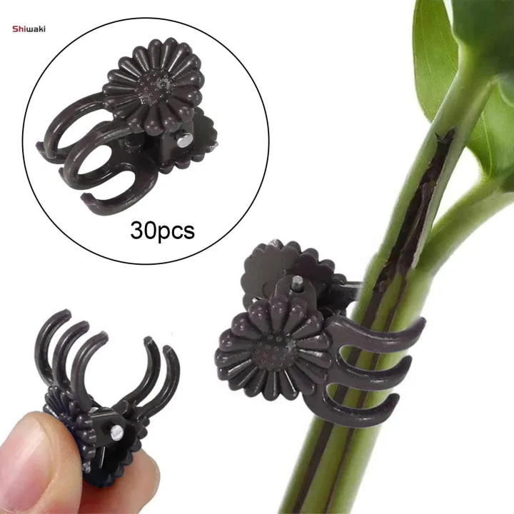 30%20Pieces%20Flower%20Clips,%20Vine%20Clamp%20Plant%20Support,%20Butterfly%20Orchid%20Clips%20Accessories%20Tools,%20Garden%20Plant%20Clips%20for%20Bouquets%20Stems%20Cucumbers%20-%20Image%203