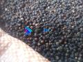 BLACK PEPPER 100G [GAMMIRIS]. 