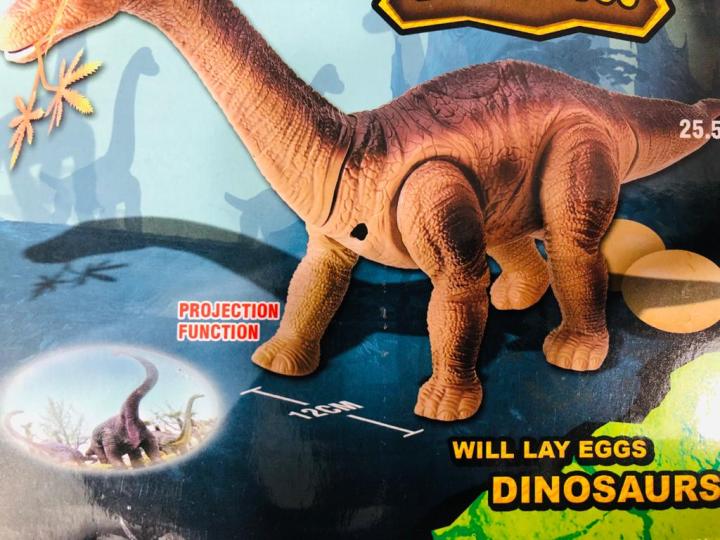 Realistic%20Dinosaur%20Sound%20Toy%20With%20Egg%20And%20Projection%20Battery%20Operated%20Toys%20for%20Kids%20-%20Image%205