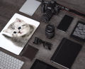 Cute Cat Laptop Skin Protector Sticker(For 15.6 inch Laptops). 