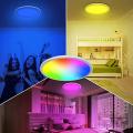 24W LED Ceiling Lamp with Remote Control 29 5cm RGB Color Change Ceiling Lamp LED Panel with 4000K Dimmable Night Light LED Lamps Ceiling Lamps. 