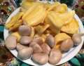 100% Pure Natural High quality sun dried Jack fruit Seeds 25 seeds. 