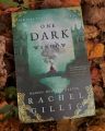 One Dark Window in Sri Lanka by Rachel Gillig [Fantasy, Romance, Romantasy, Gothic] (Paperback). 