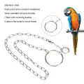 safe stainlesssteel foot chain training for parrot rust-proof large parrots alexander dove grey golden sun keck. 