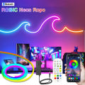Smart Bluetooth RGBIC Neon Led Strip 5M 10M 12V Waterproof RGB IC Full Color Led Neon light Music Sync Bars Gaming Room Decor. 