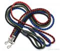 Small Two Colour Walking Nylon Dog Leash Dog Lead Pets Dog Sale Durable Traction Training Rope Dog Belt Dog Chain Dog Body Belt Chest Belt Metal Buckle Clasp Dog Collar Dog Strap Dogs Belt Dogs Sell Dogs Sale Strip Lanka Dogs Sale Sri Lanka Dog Rope. 